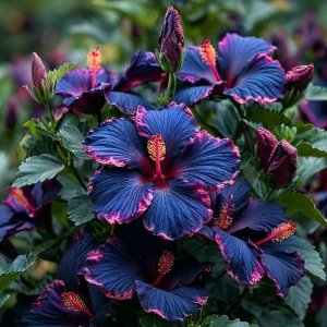 Гибискус Голден Глоу купить по цене от 259р. в интернет-магазине «Посадика» с доставкой почтой в в Элистае и по всей России – [изображение №1].