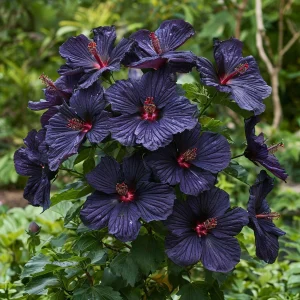 Гибискус Мэджик Момент купить по цене от 699р. в интернет-магазине «Посадика» с доставкой почтой в в Элистае и по всей России – [изображение №1].