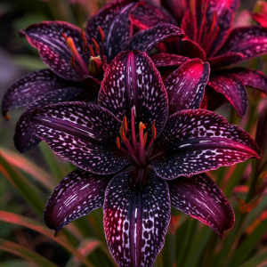 Лилейник Вояж купить по цене от 699р. в интернет-магазине «Посадика» с доставкой почтой в в Элистае и по всей России – [изображение №1].